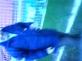 me-at-mancity-match.html