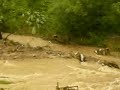 Škody za ZŠ Malcov