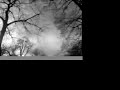 freezing wintertrees