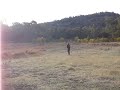 PERFI UN CANGUR!2 PERFI UN CANGUR!2