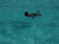 videos de Miami Beach 2
