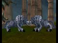 Sherwood Dungeon Pets - First Pet Video