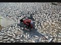 LA CONTAMINACION