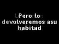 punketos fracasados