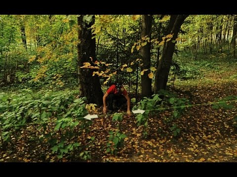 how to view pictures on twitter