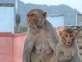 pushkar-thik-hai-callin.html