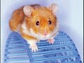 Sub for sub!!