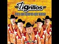 Tigrillos-mueve tu cintura