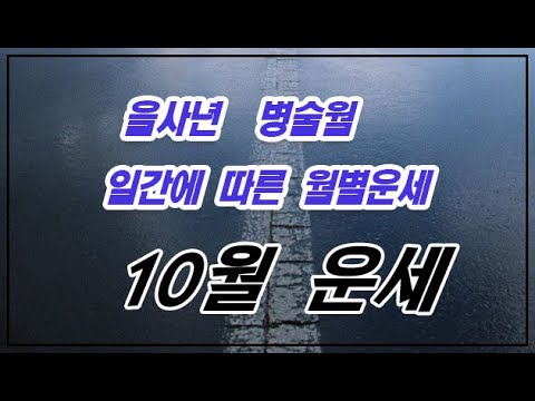 을사년 병술월(10월) 일간별 운
