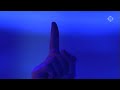 Muse-TakeABow