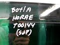 botia horae M