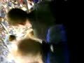 Fat Tranmere Fan In Masters (Echo Arena)
