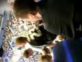 Fat Tranmere Fan In Masters (Echo Arena)