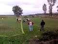 forza-flacara-sezonu