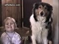 O c�o que ri