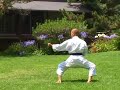 INSIDE THE ART OF OKINAWAN GOJU with Teruo Chinen: Kihon