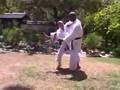 INSIDE THE ART OF OKINAWAN GOJU with Teruo Chinen: Kihon