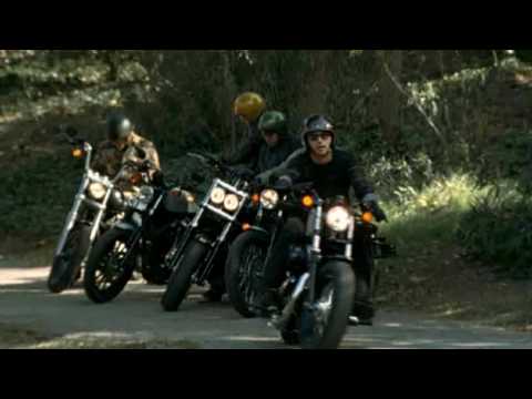 Harley Davidson 48