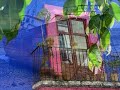 Travel In Island