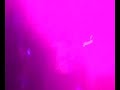 raveology strikes back bassman+spyda+trigga heavy