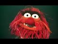 The Muppets Perform Queens Bohemian Rhapsody Homenaje
