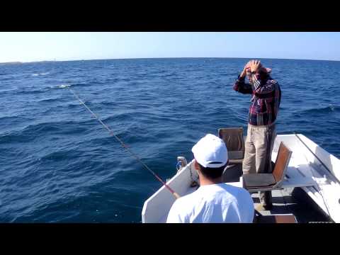 ловля в черном море с волнорезов ловля в черном море с волнорезов