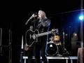 Elliott Murphy - You never know what you're in for