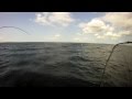 HUGE 50lb Lake Trout on Kasba Lake, NWT!