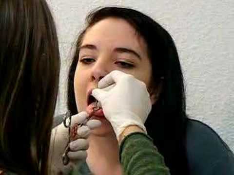 Tongue Piercing. Length: 1:38; Rating Average: 4.722353' max='5' min='1' numRaters='425' rel='http://schemas.google.com/g/2005#overall from people Tongue Piercing. Length: 1:38; Rating Average: 4.722353' max='5' min='1' numRaters='425' rel='http://schemas.google.com/g/2005#overall from people