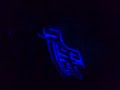 g-uszyna-fortuna-club-dyska-.html