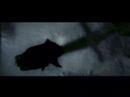 nightwish-nemo nightwish-nemo