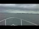 Cruise the Lough event, August 2007 Cruise the Lough event, August 2007