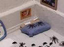 MAN-SPIDER MAN-SPIDER