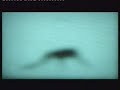 Autechre - Second Bad Vibel