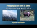 White Balance - Photography with Imre - Episode 7