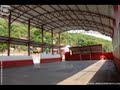no salgueiro caldeir�o