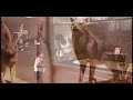 FunkyBoy Production Samples 2