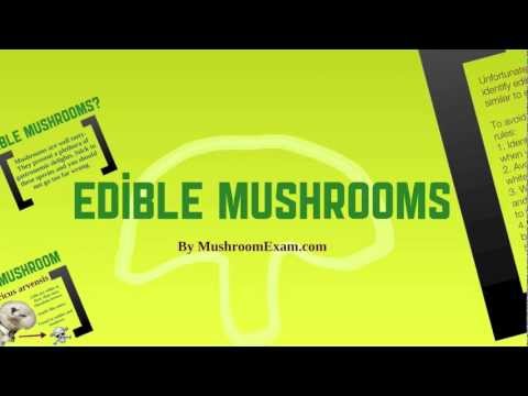 how to know edible mushrooms