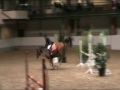 Enigma van het merelhof BWP DARCO 09 11 08