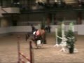 videos de Enigma van het merelhof BWP DARCO 09 11 08