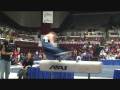 Colin Christ Pommel Horse routine ncaas