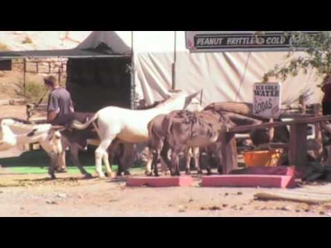burros
