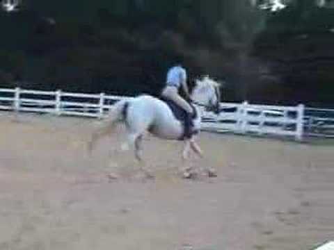 Silver Sage: Jumping the moon