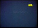 UFO - Hagen, Germany, August 2, 1979
