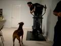 How NOT to get in shape! How NOT to get in shape!