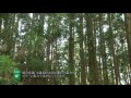 Click here to watch this video 風の言葉（2012.5.20）～三重県／答志島～