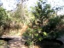Ecotour03