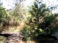 Ecotour03