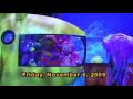 The Backyardigans: Sea Deep in Adventure