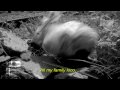 videos de 1 THE TEN COMMANDMENTS OF LA VIDA LOCA 1 (HD)